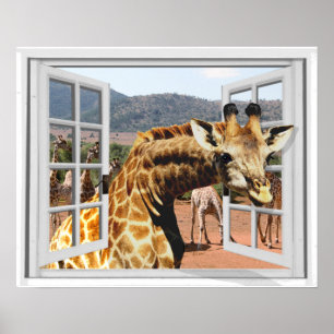 Póster Girafa na opinião falsificada Trompe da janela - 