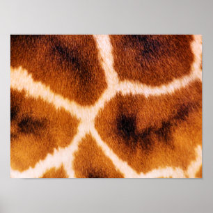 PÓSTER GIRAFAS