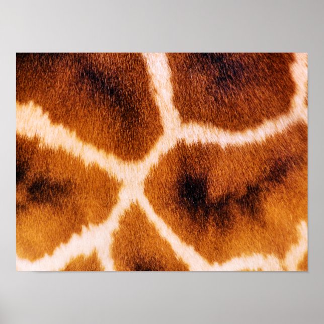 PÓSTER GIRAFAS (Frente)