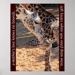 Póster Girafas doces; o amor de uma mãe não conhece limit