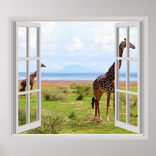 Poster Girafas em Serengeti (Frente)