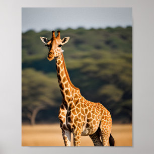 Poster Giraffe de Pé Alto