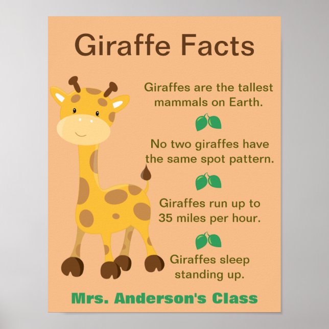 Poster Giraffe Fatos Sala de Aula (Frente)