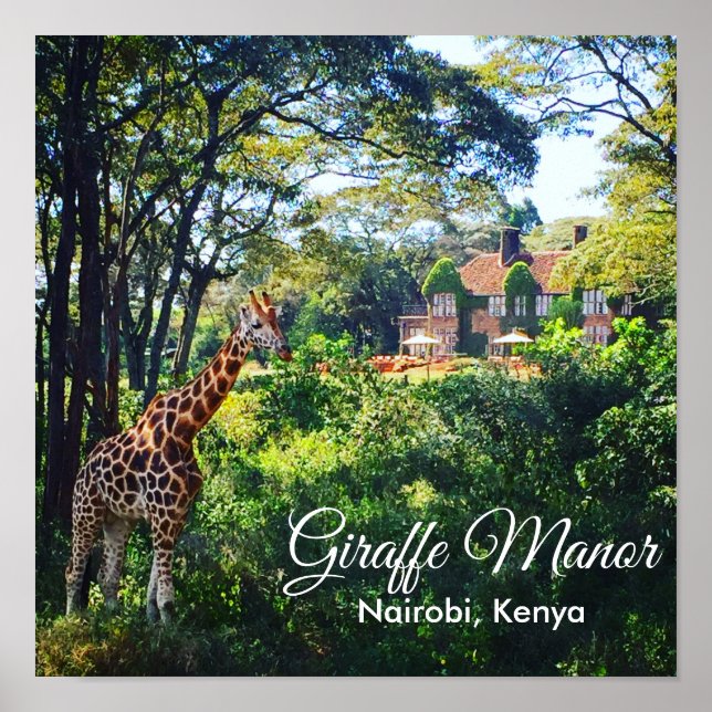 Poster Giraffe Manor (Frente)