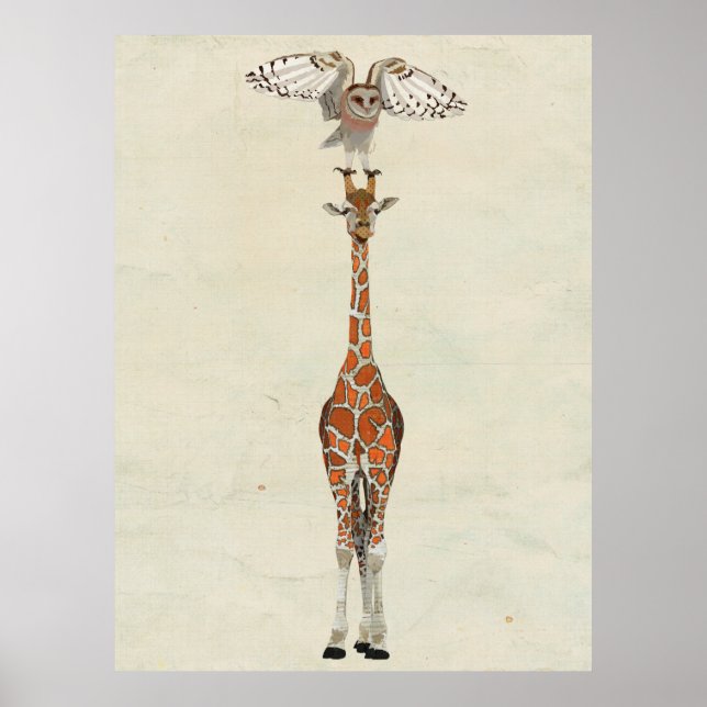 Poster GIRAFFE & OWL Art (Frente)