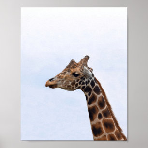 Poster Giraffe Portrait Foto 106