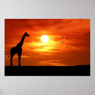 Poster Giraffe Silhouette ao Sunset