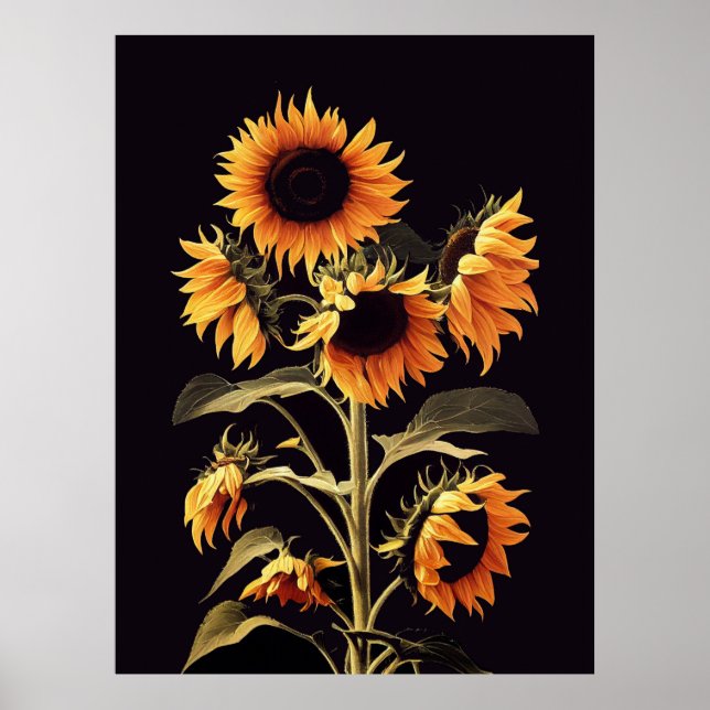 POSTER GIRASSÓIS COM FOLHAS VERDES EM PRETO (Frente)