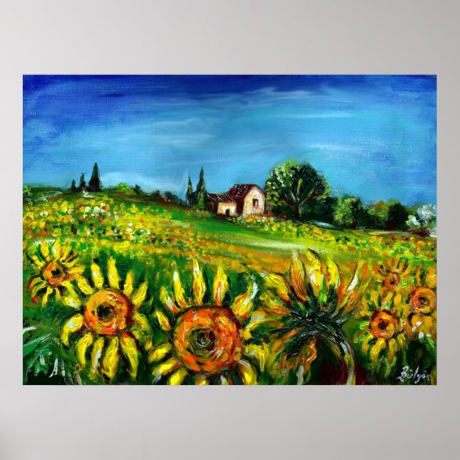 PÓSTER GIRASSÓIS E CAMPOS NA TOSCANA (Frente)