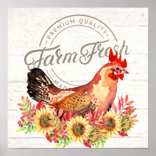 Poster Girassóis e frango de granja fresco