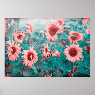 Poster Girassóis Textura de Grunge Floral Rosa-Rosa