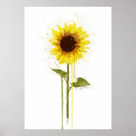 Poster Girassol