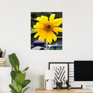 Poster Girassol Amarelo-Claro