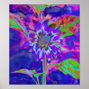 Poster girassol azul abstrato púrpura divertimento retr