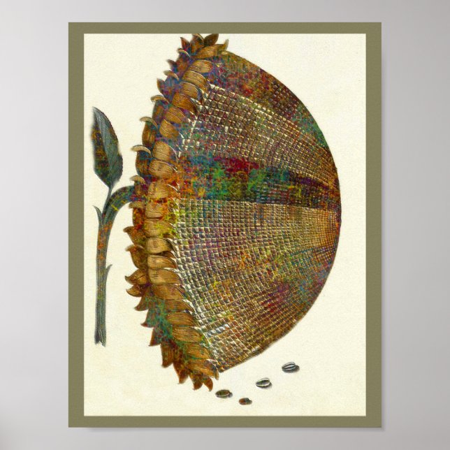 Póster Girassol italiano medieval (Frente)