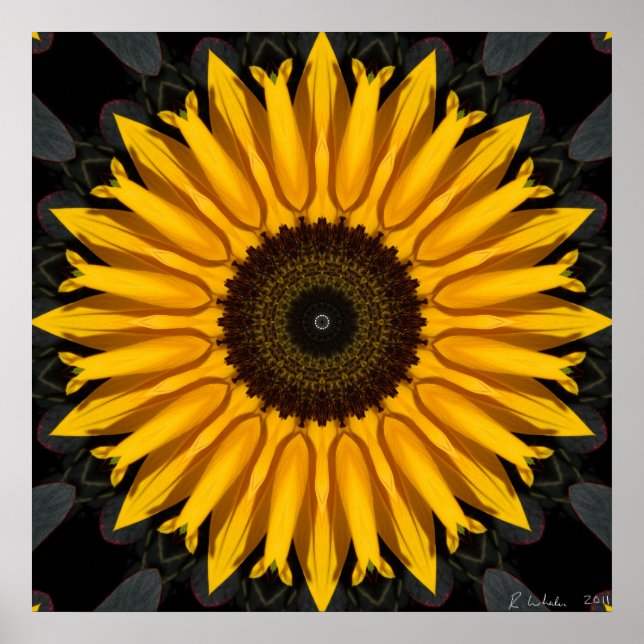 Póster Girassol perfeito (Frente)