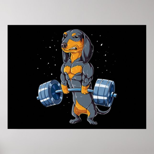 Poster Giro de Malhação de elevação de peso Dachshund (Frente)