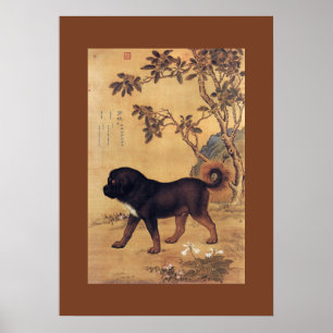 Póster ~ Giuseppe Castiglione do Mastiff tibetano do ~ do