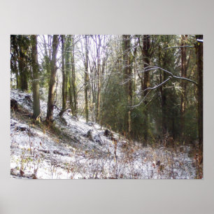 Póster Glade Floresta Neve Suniluminada