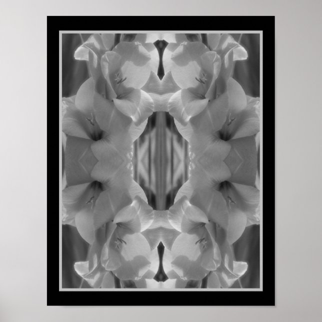 Poster Gladiolus Flor, Abstrato Branco E Preto (Frente)