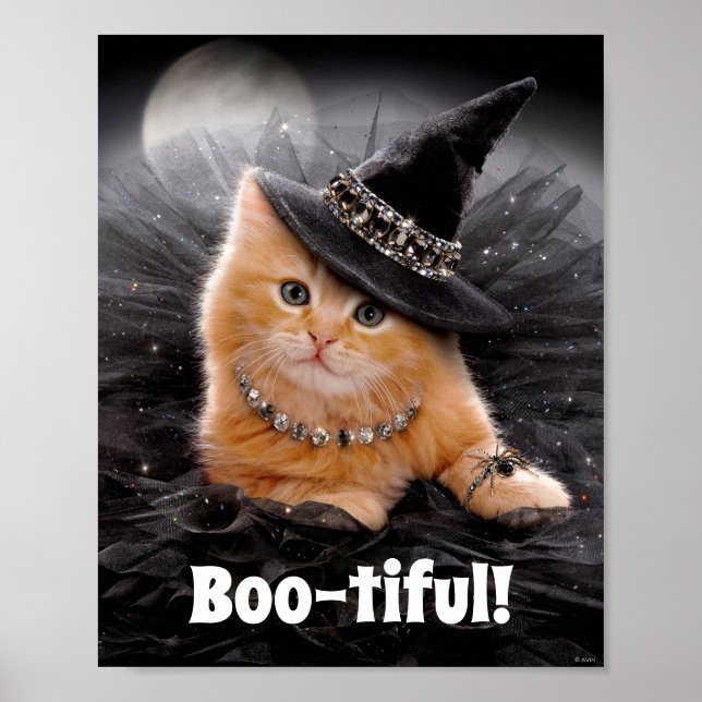 Poster Glamorous Witch Kitten (Frente)