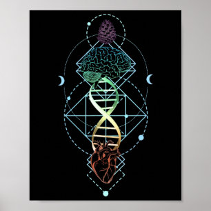 Poster Glândula Pineal Pine Cone Terceiro Olho Abertura d