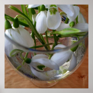 Poster glass of snowdrops