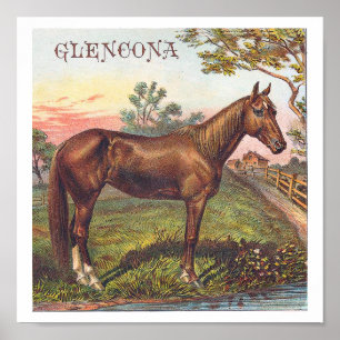 Poster Glencona Vintage Chestnut Racing Horse
