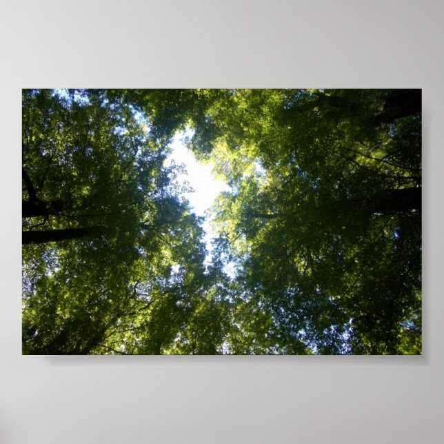 Póster Glenorchy, NZ (Frente)