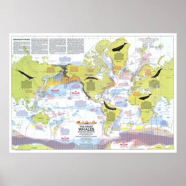 Poster " Global: 1976 - Wale der Welt Wanderkarte ... (Frente)