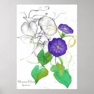Poster Glória da Manhã Flores de Aquarela Botânicas