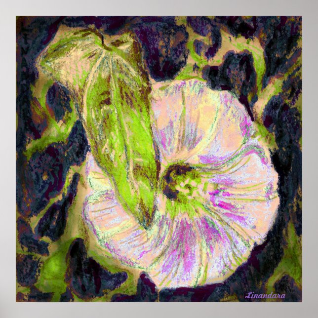 Póster Glória da Manhã Selvagem por Alexandra Cook (Frente)