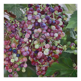 Póster Glória das Vinhas - Arte do Vineyard hiperrealista