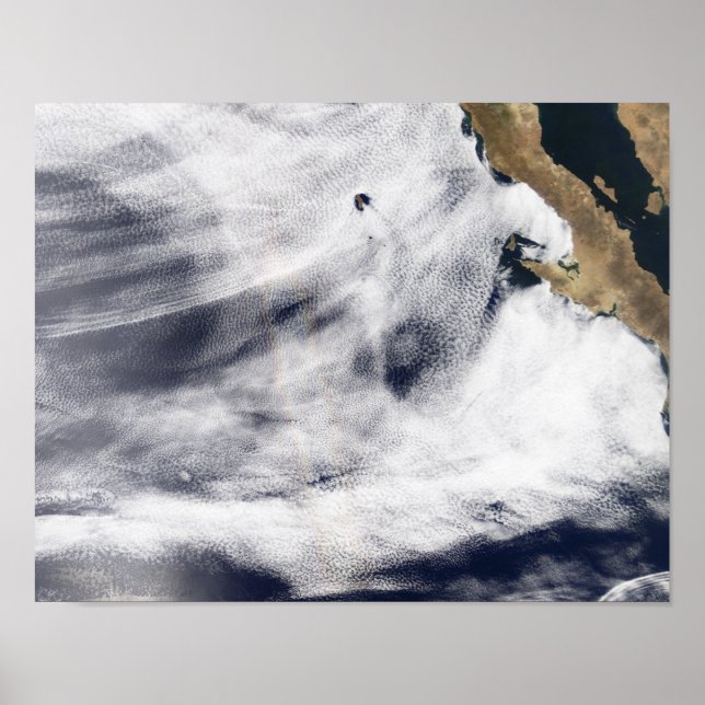 Póster Glória sobre o Oceano Pacífico (Frente)