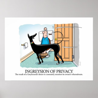Poster Glossário Greyhound Ingresão da privacidade