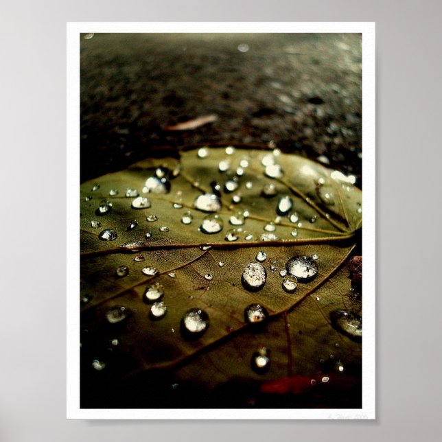 Póster Glow Drop (Frente)