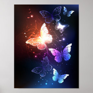 Poster Glowing Night Butterflies