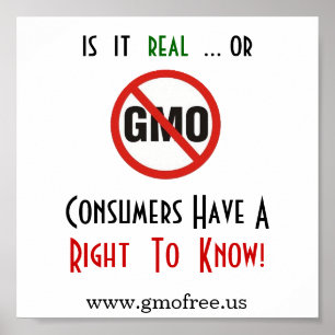 Poster - GMO, direito de saber