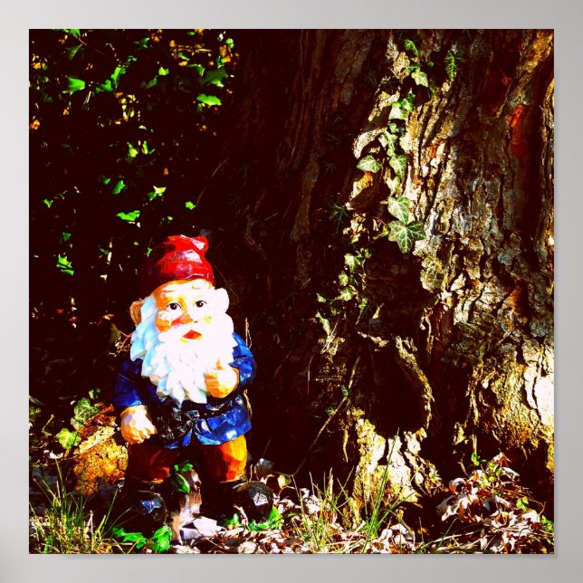 Póster Gnomo Vermelho Capturado (Frente)