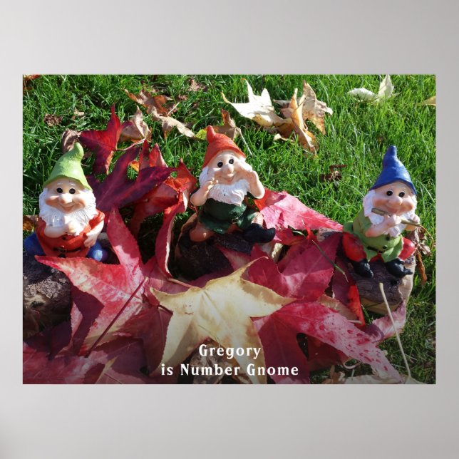 Poster Gnomos De Jardim Você É O Número Gnome Adicionar N (Frente)