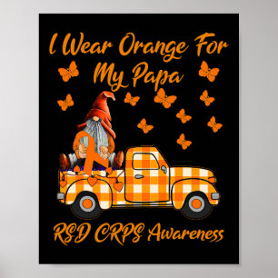 Poster Gnomos Eu Visto Laranja Para Meu Papa RSD Awarenes