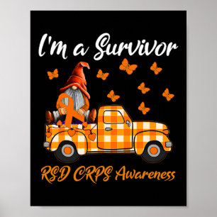 Poster Gnomos, sou um Sobrevivente, Rsd Crps Consciência