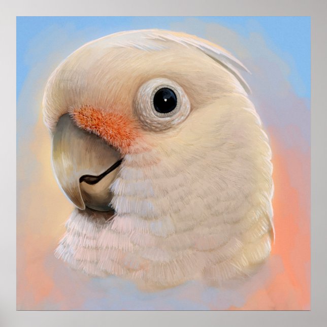 Poster Goffin Tanimbar Corella Cockatoo (Frente)