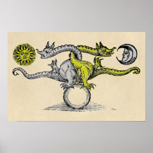 Poster Gold and Silver Dragon Symbol