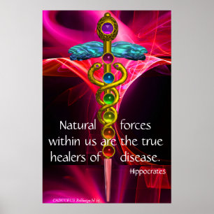 Póster GOLD CADUCEUS,7 CHAKRAS,PINK FRACTAL WAVES Medical