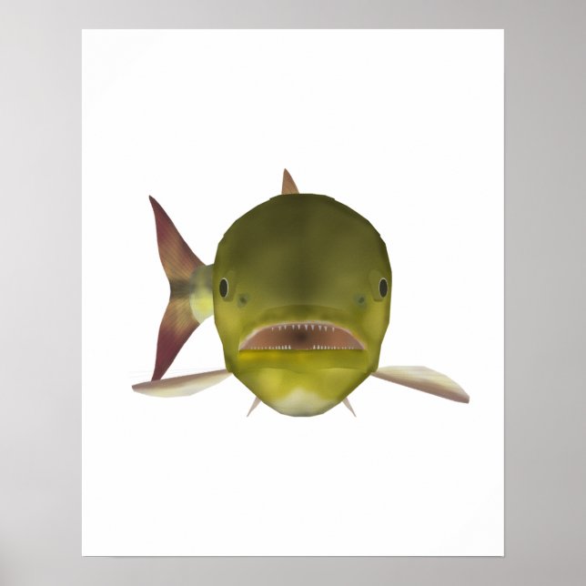 Poster Golden Dorado Fish Head (Frente)
