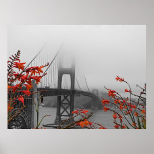 Póster Golden gate bridge preto e branco