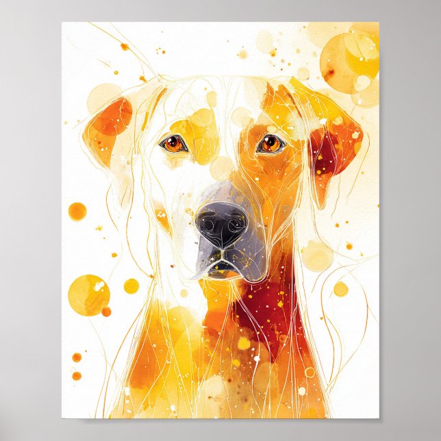 Poster Golden Gaze (Frente)