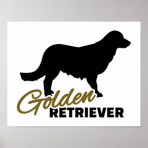 Poster Golden retriever