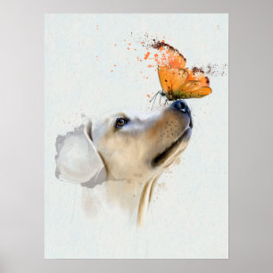 Poster Golden retriever com uma borboleta em seu nariz